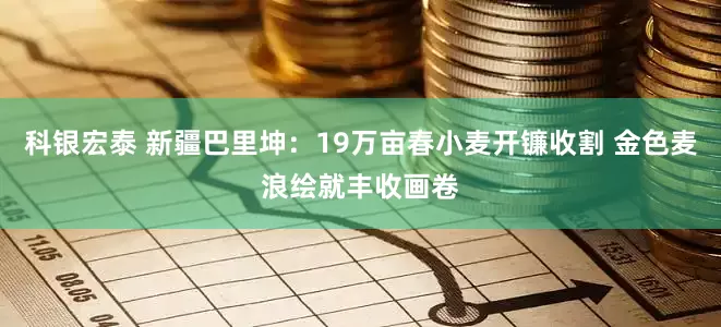 科银宏泰 新疆巴里坤：19万亩春小麦开镰收割 金色麦浪绘就丰收画卷